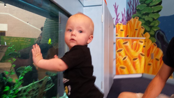 Looking at the fish!