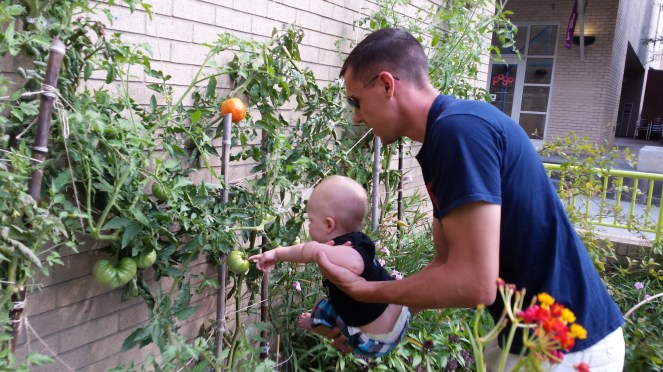 Checking out the garden with Daddy